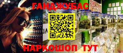 шишки Гусиноозёрск