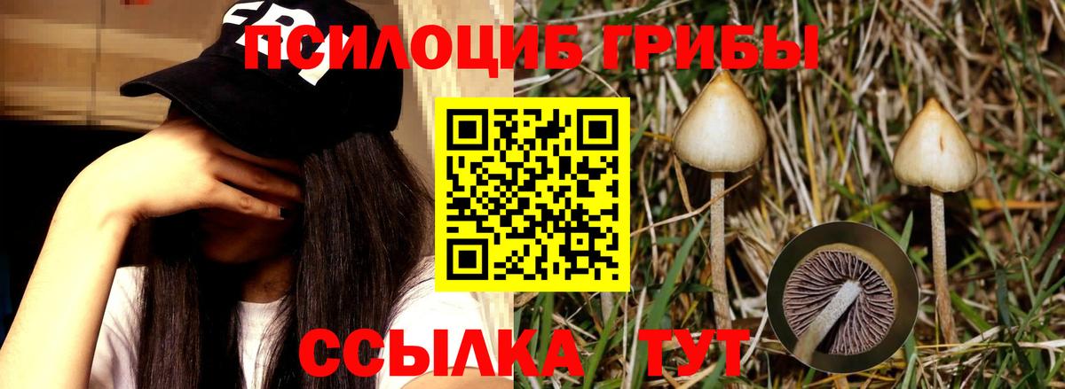 Псилоцибиновые грибы Magic Shrooms  Галлюциногенные грибы MAGIC MUSHROOMS  Алапаевск 