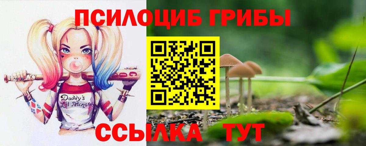 Псилоцибиновые грибы прущие грибы  Вход с VPN  Алапаевск 